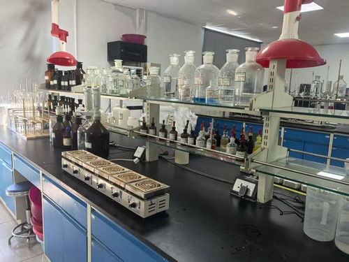 黑龍江玉米的黃金鏈 深加工產(chǎn)品以技術(shù)開發(fā)贏得國際高身價(jià)